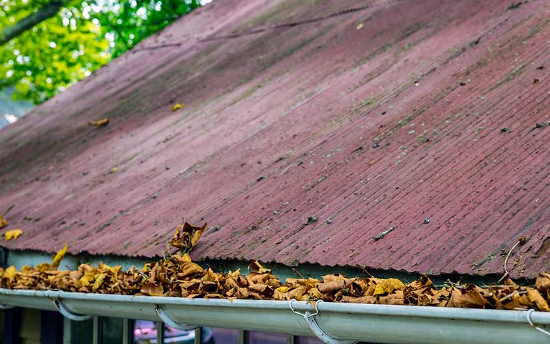 yellow-leaves-are-covered-with-iron-gutter-cover